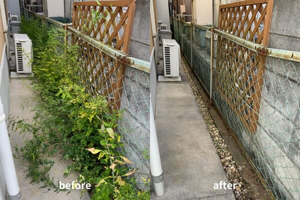 裏通路の草取りbefore&after